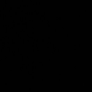 Meet your Posher, Jr